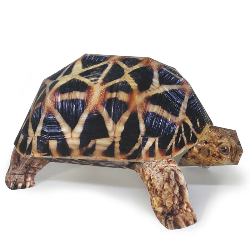 Indian Star Tortoise Paper Mod - Art Craft Center review and price