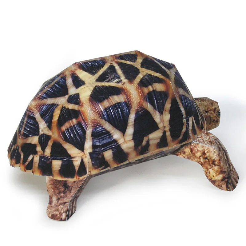 Indian Star Tortoise Paper Mod - Art Craft Center review and price