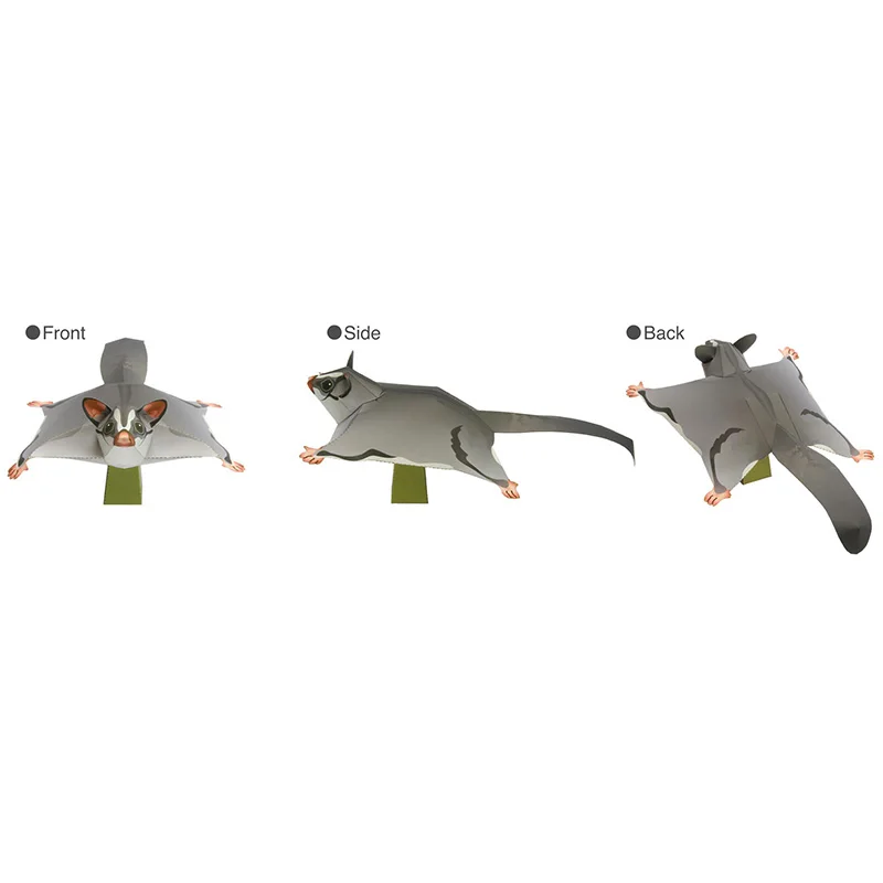 Sugar Glider Flying Mouse Hand - Art Craft Center review and price